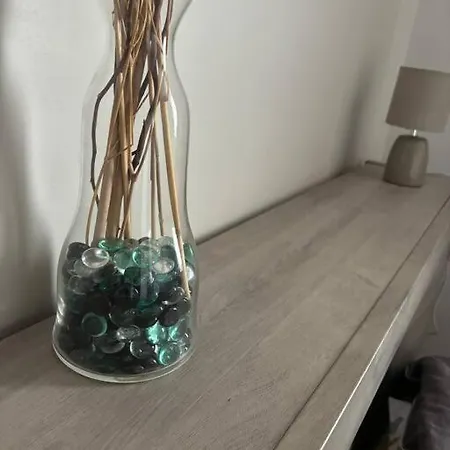 Apartament Cosy Hyper Centre *